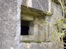 Ligne Maginot - A113 - DEMI LIEUE - (Casemate d'infanterie - Double) - 