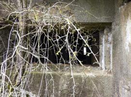Ligne Maginot - A113 - DEMI LIEUE - (Casemate d'infanterie - Double) - 