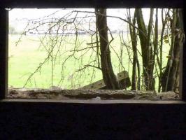 Ligne Maginot - A113 - DEMI LIEUE - (Casemate d'infanterie - Double) - 