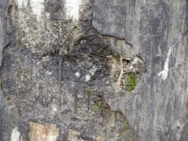 Ligne Maginot - A114 - L'ALOUETTE - (Casemate d'infanterie - Double) - 