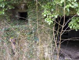 Ligne Maginot - A115 - LES CULEES SUD - (Casemate d'infanterie - Double) - 