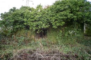 Ligne Maginot - A115 - LES CULEES SUD - (Casemate d'infanterie - Double) - Entrée matériel