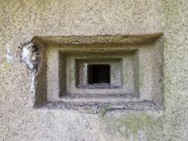 Ligne Maginot - A116 - LES ANORELLES - (Casemate d'infanterie - Simple) - L'embrasure Mi du flanquement gauche