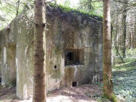 Ligne Maginot - A116 - LES ANORELLES - (Casemate d'infanterie - Simple) - L'embrasure de défense des abords