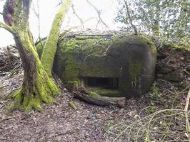 Ligne Maginot - B822 - SAINT HUBERT - (Blockhaus pour canon) - 