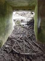 Ligne Maginot - B822 - SAINT HUBERT - (Blockhaus pour canon) - 