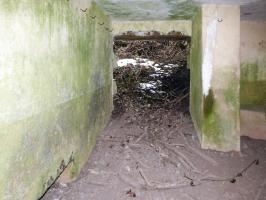 Ligne Maginot - B822 - SAINT HUBERT - (Blockhaus pour canon) - 