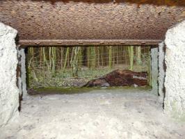 Ligne Maginot - B822 - SAINT HUBERT - (Blockhaus pour canon) - 
