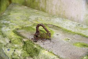 Ligne Maginot - B819 - BEAUWELTZ - (Blockhaus pour canon) - 