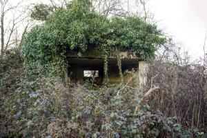 Ligne Maginot - B819 - BEAUWELTZ - (Blockhaus pour canon) - 