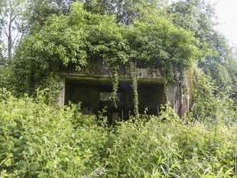 Ligne Maginot - B819 - BEAUWELTZ - (Blockhaus pour canon) - 