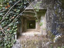 Ligne Maginot - B819 - BEAUWELTZ - (Blockhaus pour canon) - 