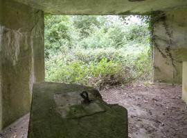 Ligne Maginot - B819 - BEAUWELTZ - (Blockhaus pour canon) - 