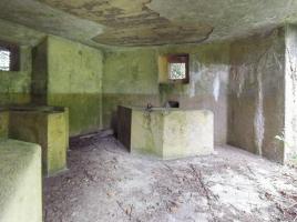 Ligne Maginot - B819 - BEAUWELTZ - (Blockhaus pour canon) - 
