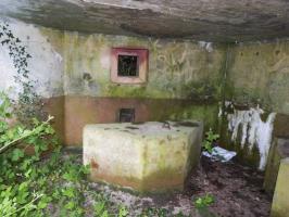 Ligne Maginot - B819 - BEAUWELTZ - (Blockhaus pour canon) - 