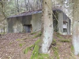Ligne Maginot - B766 - CARREFOUR DE BLOIS - (Blockhaus pour canon) - 
