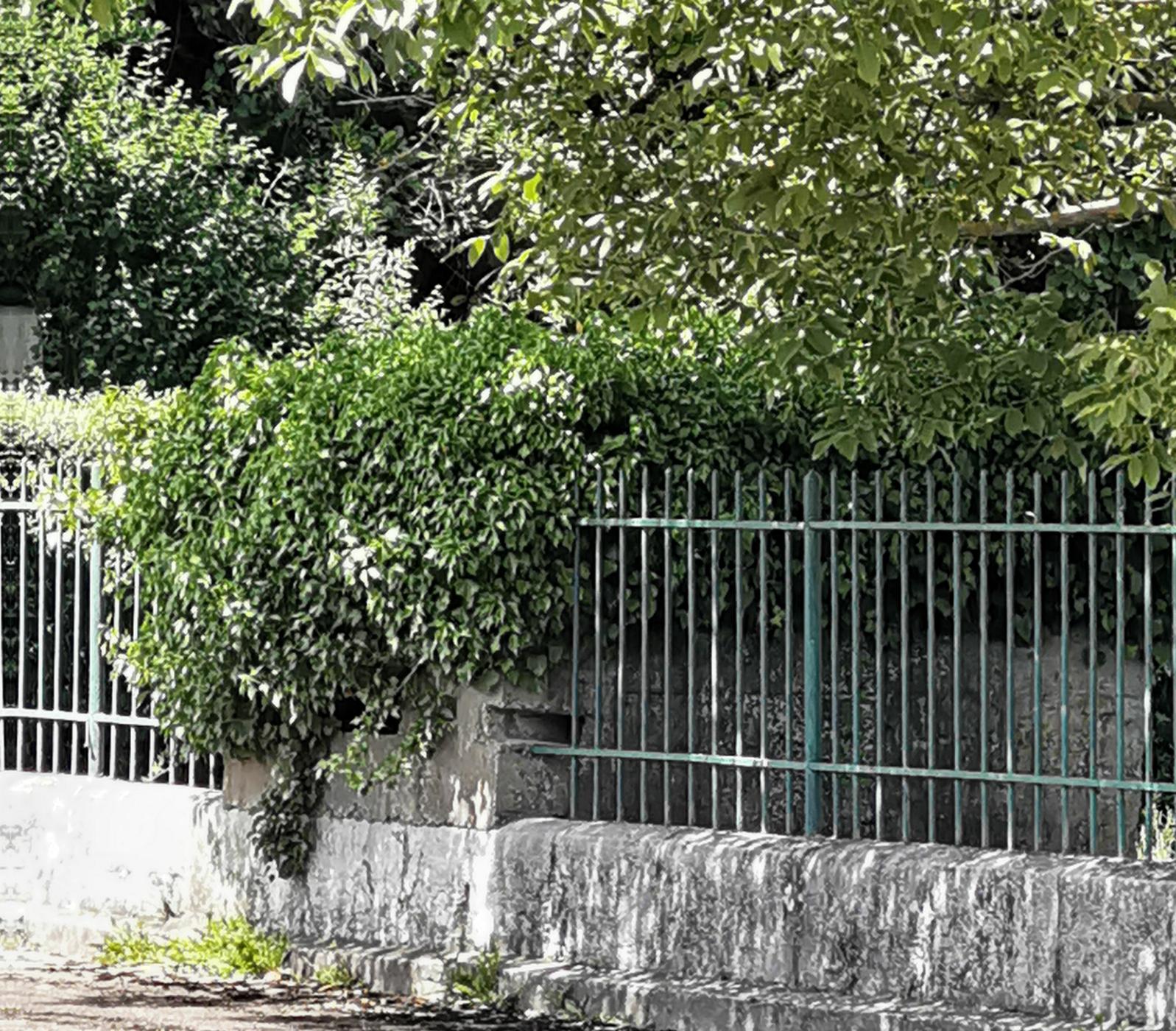 Ligne Maginot - KEMBS CIMETIERE - (Blockhaus pour arme infanterie) - Les créneaux vus de devant.  - leiraph