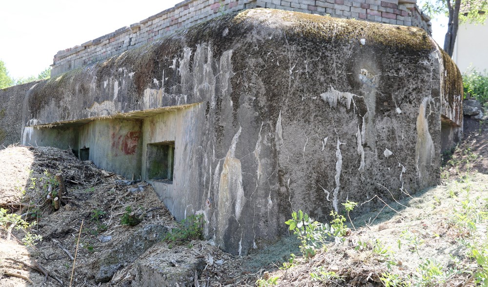 Ligne Maginot - PETIT KINDELBERG NORD-EST - (Blockhaus pour canon) -  - Alain Perouffe
