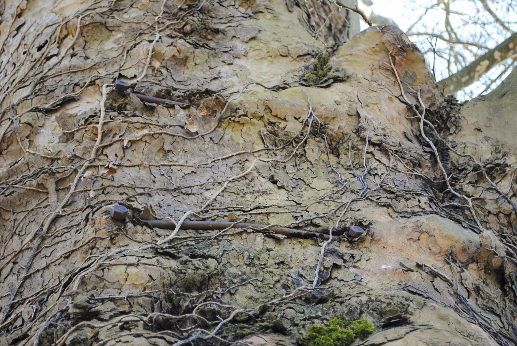 Ligne Maginot - ECLUSE 52 - (Observatoire d'infanterie) - Quelques détails - N.Muller