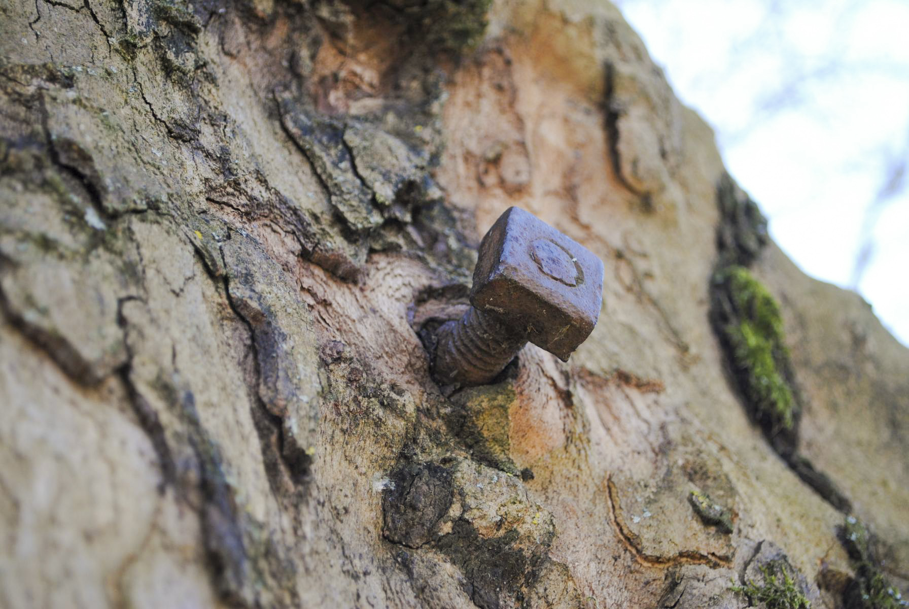 Ligne Maginot - ECLUSE 52 - (Observatoire d'infanterie) - Quelques détails - N.Muller