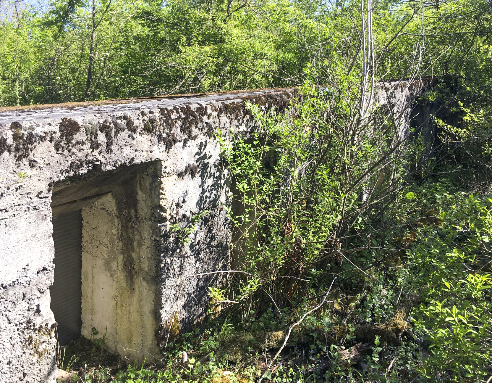 Ligne Maginot - BOIS DE DESSENHEIM SUD-OUEST 6 - (PC) - Vue de l'extérieur
Les fenêtres de l'abri Ouest - Timothée DUCHÊNE