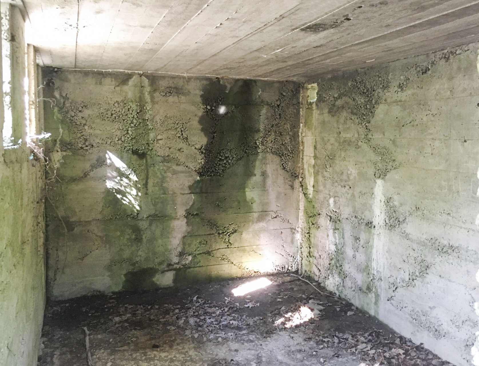 Ligne Maginot - BOIS DE DESSENHEIM SUD-OUEST 6 - (PC) - Salle supérieure sud - Timothée DUCHÊNE