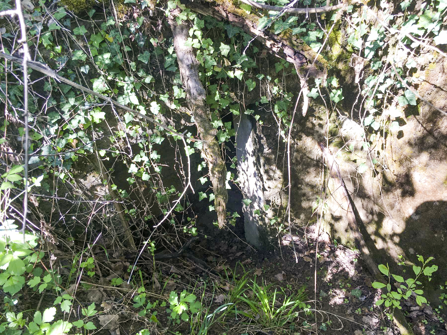 Ligne Maginot - BOIS DE DESSENHEIM SUD-OUEST 6 - (PC) - Entrée salle inférieure - Timothée DUCHÊNE