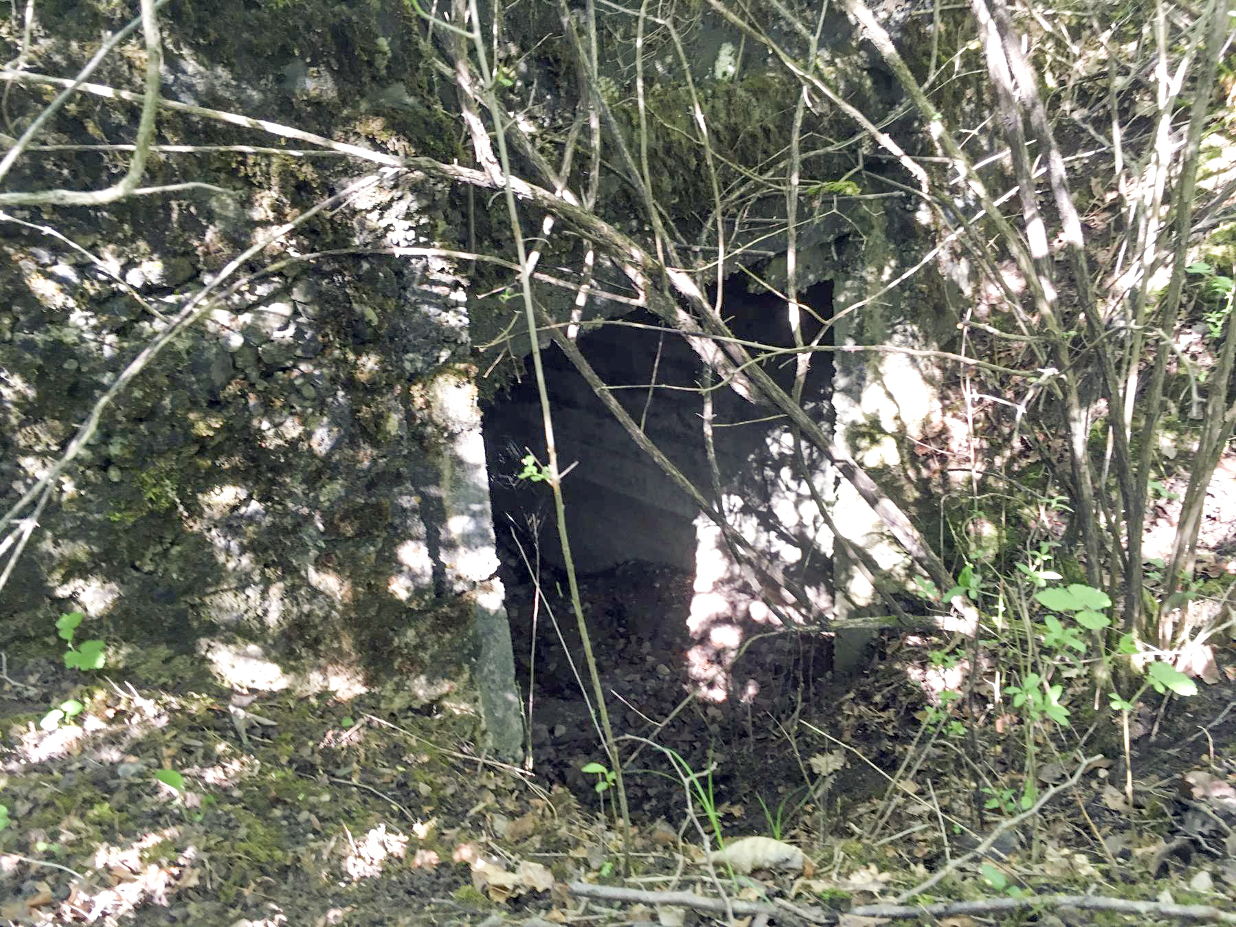 Ligne Maginot - BOIS DE DESSENHEIM SUD-OUEST 6 - (PC) - Entrée - Timothée DUCHÊNE