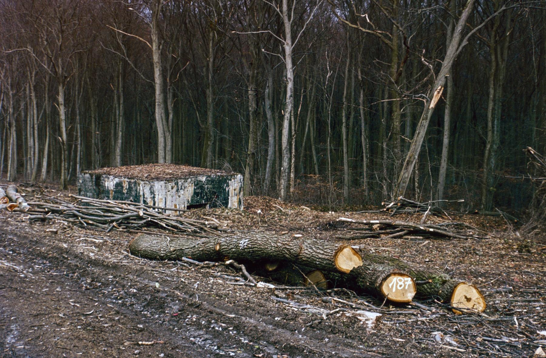 Ligne Maginot - AB5-D - (Blockhaus pour canon) -  - MANSUY Michel
