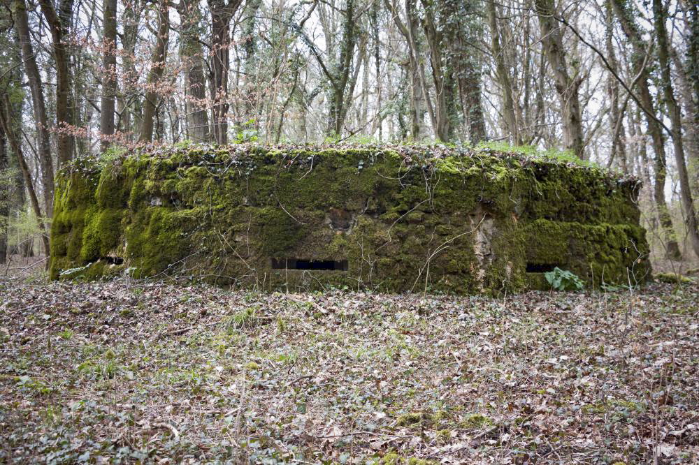 Ligne Maginot - BOIS DE TETING 3 - (Blockhaus pour arme infanterie) - Poste observatoire et tir - Frédéric VIEU