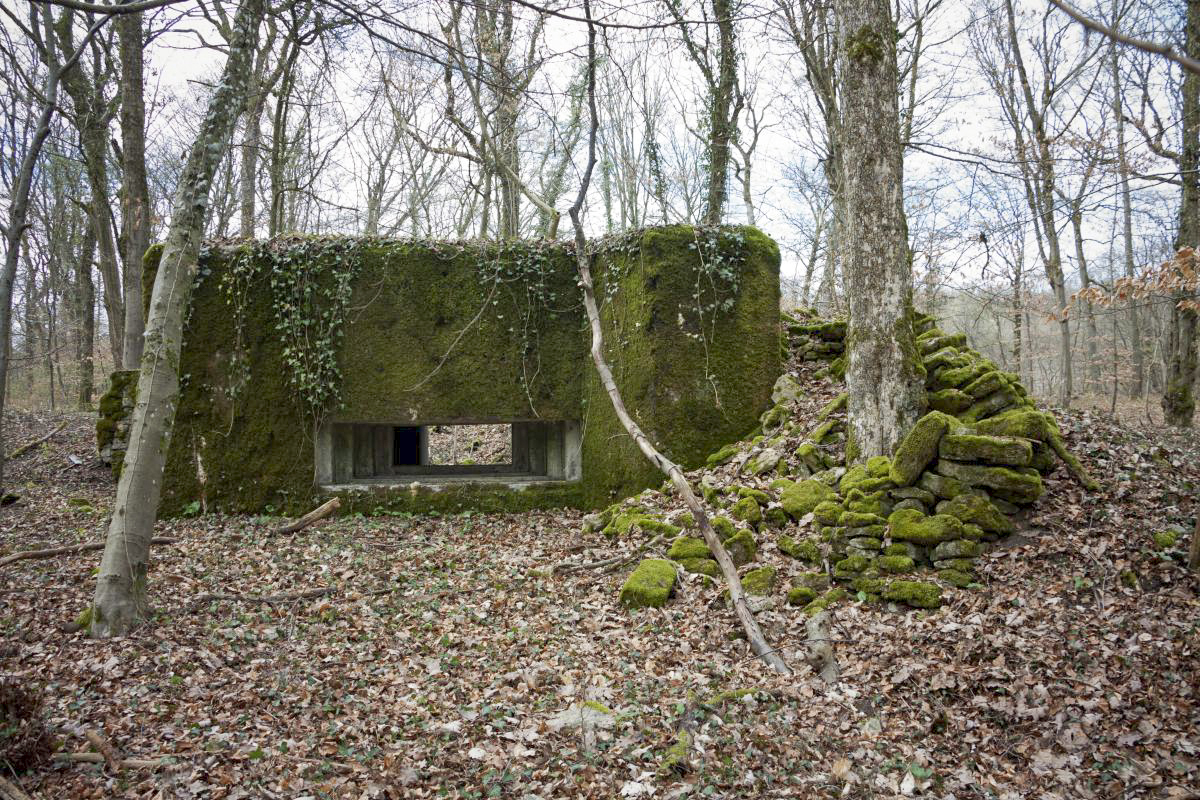 Ligne Maginot - BOIS DE TETING NORD - (Blockhaus pour canon) -  - Fré Do