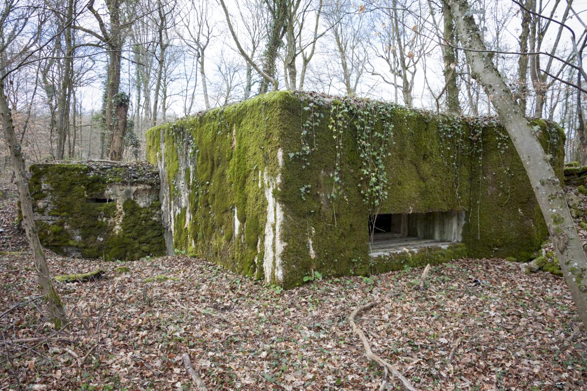 Ligne Maginot - BOIS DE TETING NORD - (Blockhaus pour canon) -  - Fré Do