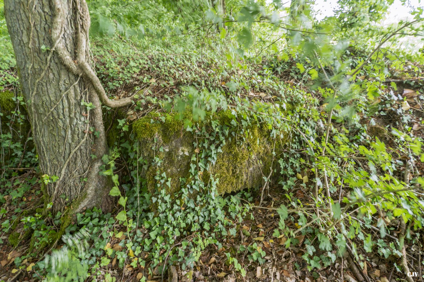 Ligne Maginot - ROUTE DE L'HIMERTEN CENTRE 2 - (Blockhaus pour arme infanterie) - Le créneau
