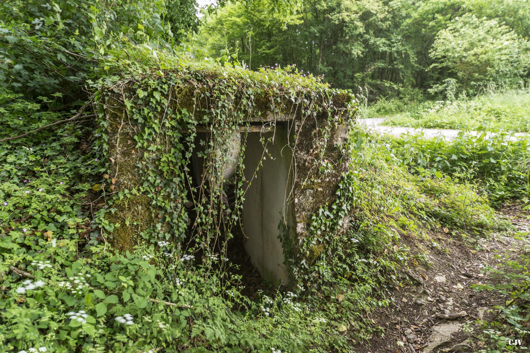 Ligne Maginot - ROUTE DE L'HIMERTEN CENTRE 1 - (Blockhaus pour arme infanterie) -  - Lia VERMEULEN