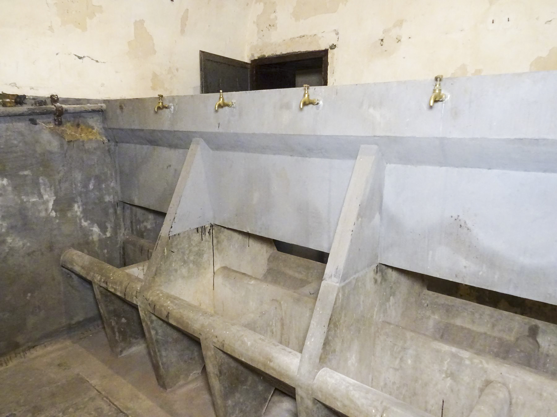 Ligne Maginot - KINDELBERG (QUARTIER CAMP - III/37° RIF) - (Abri) - Local wc et lavabos - ammagsdr