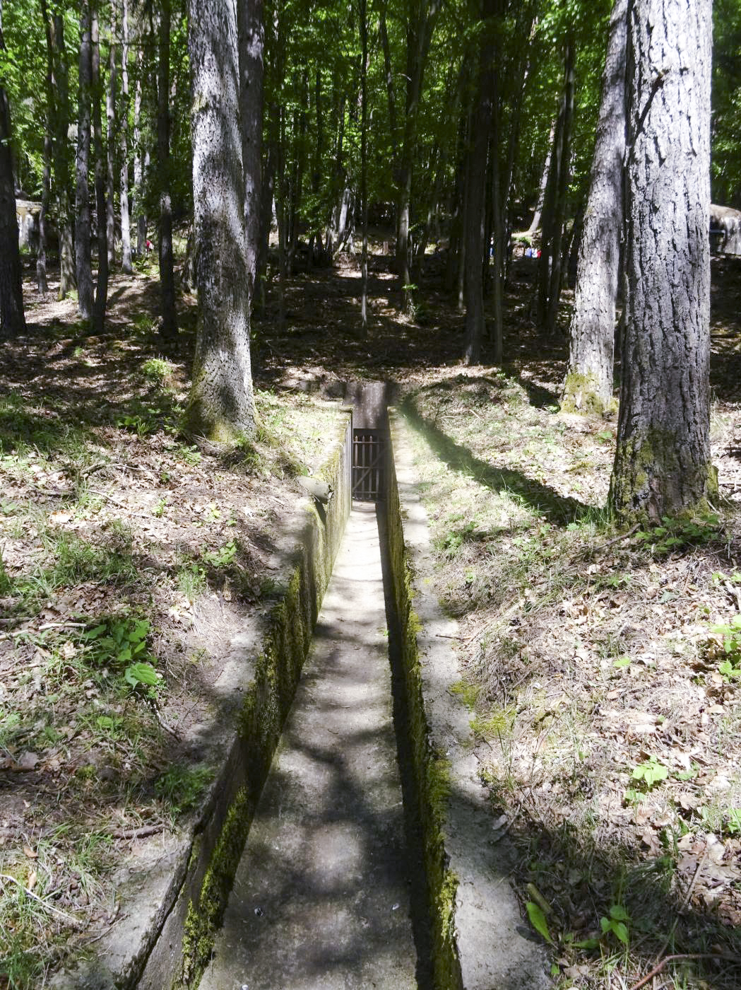 Ligne Maginot - KINDELBERG (QUARTIER CAMP - III/37° RIF) - (Abri) - Égout/issue de secours - ammagsdr