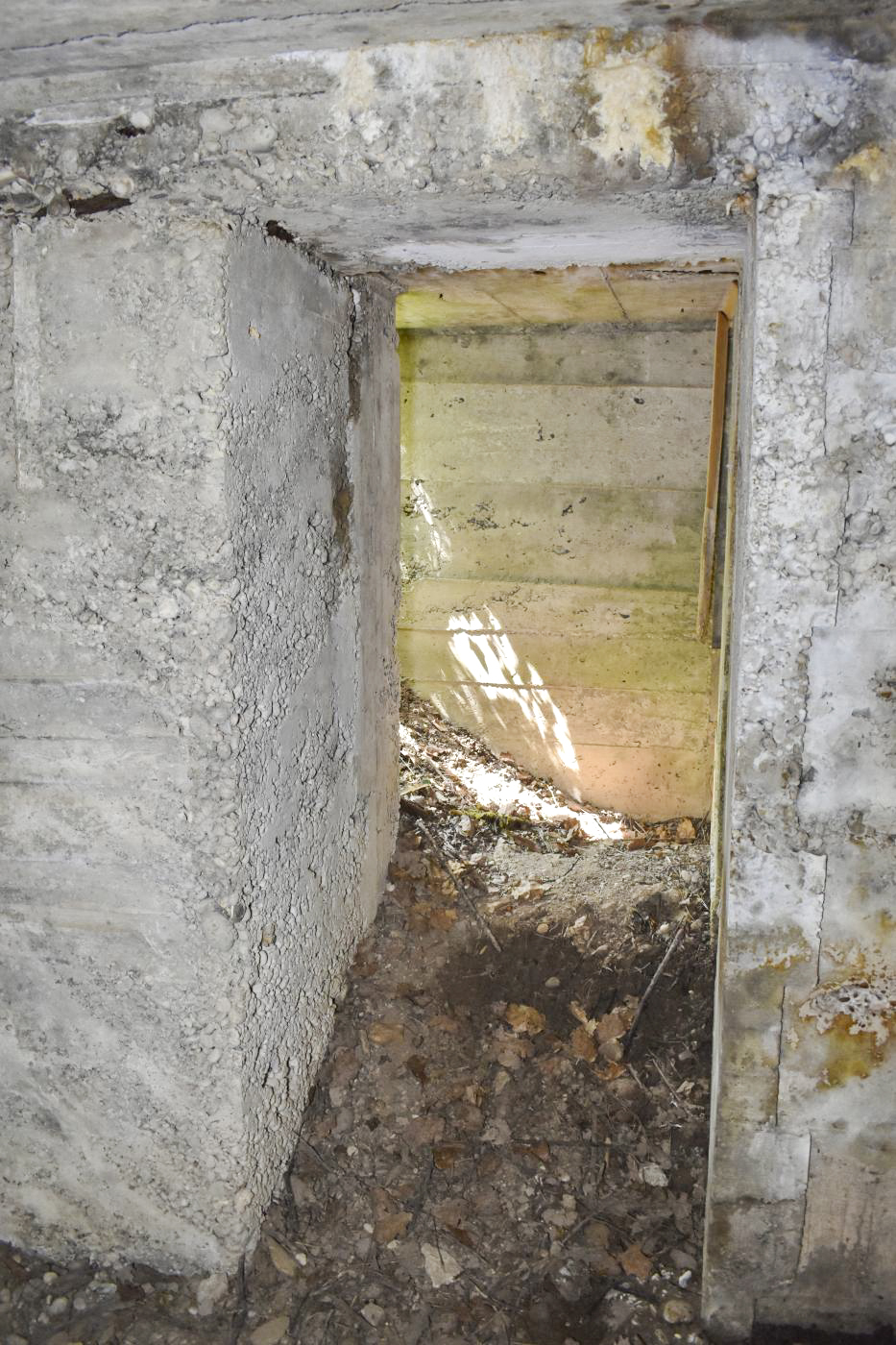 Ligne Maginot - BOIS DE DESSENHEIM SUD-OUEST 6 - (PC) - Seconde entrée de l'abri bas - Daniel Froehly