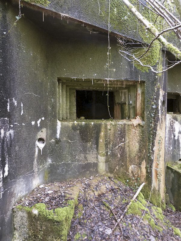 Ligne Maginot - A34 - GRAVIER DU BOIS - (Casemate d'infanterie) - 