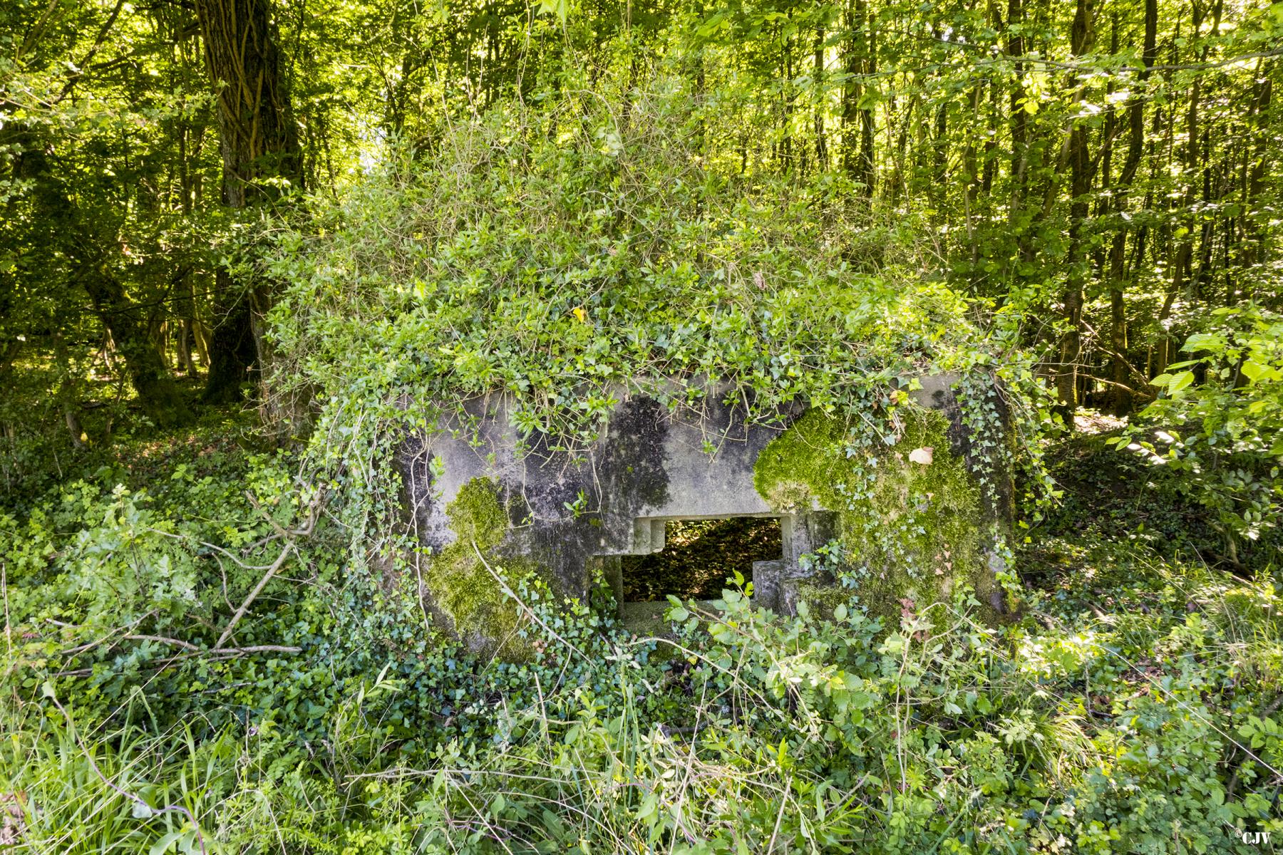 Ligne Maginot - ABO17 - BAMBESCH OUEST - (Blockhaus pour canon) - 