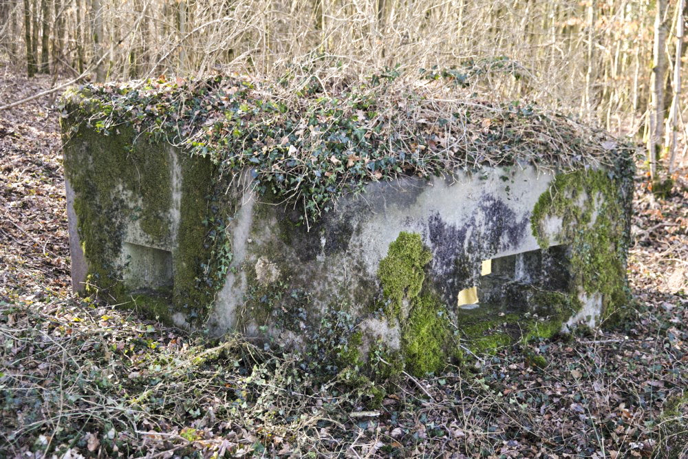Ligne Maginot - ABO17 - BAMBESCH OUEST - (Blockhaus pour canon) - 
