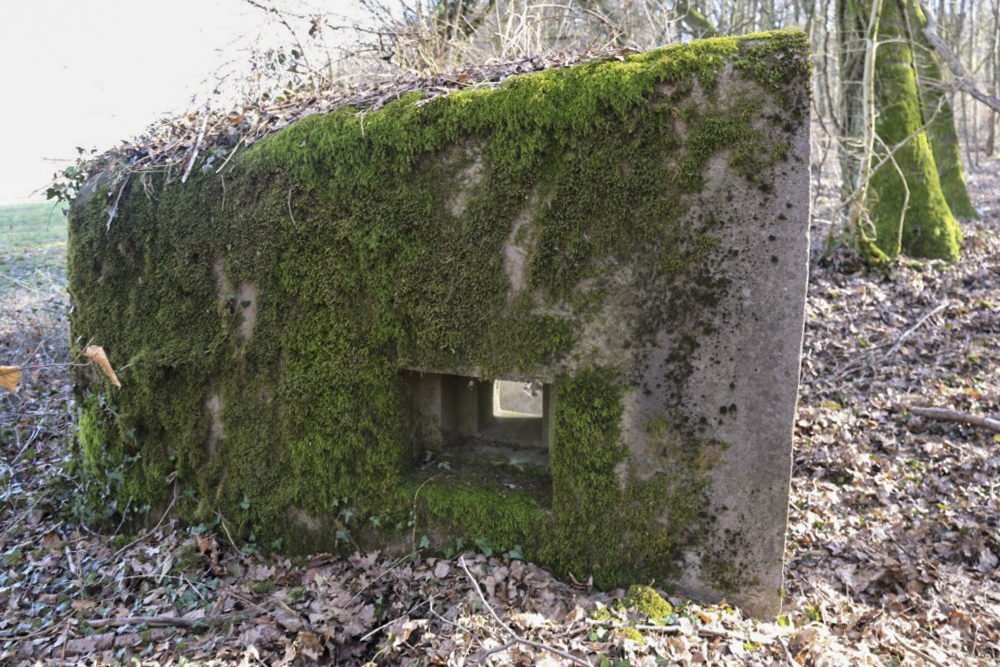Ligne Maginot - ABO17 - BAMBESCH OUEST - (Blockhaus pour canon) - 
