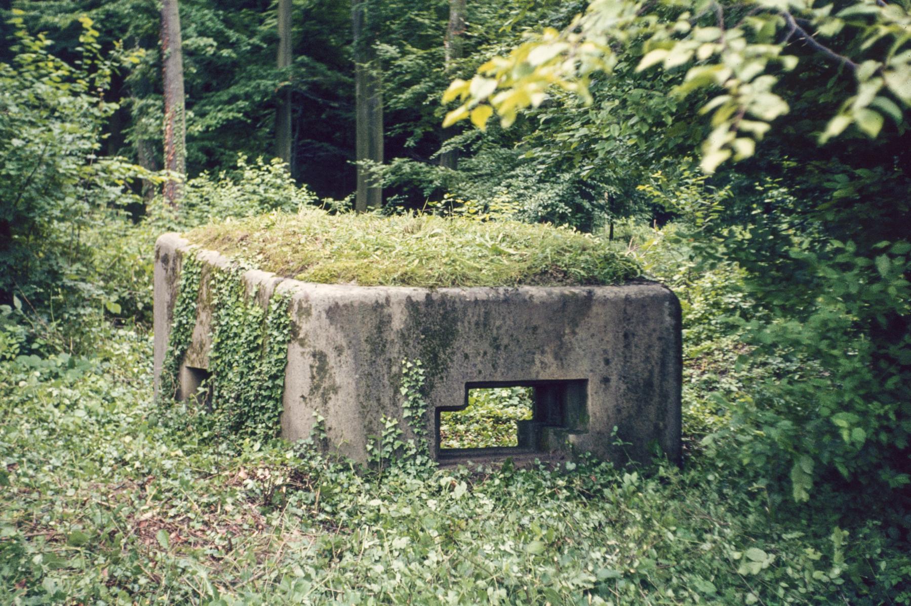 Ligne Maginot - ABO17 - BAMBESCH OUEST - (Blockhaus pour canon) -  - MANSUY Michel
