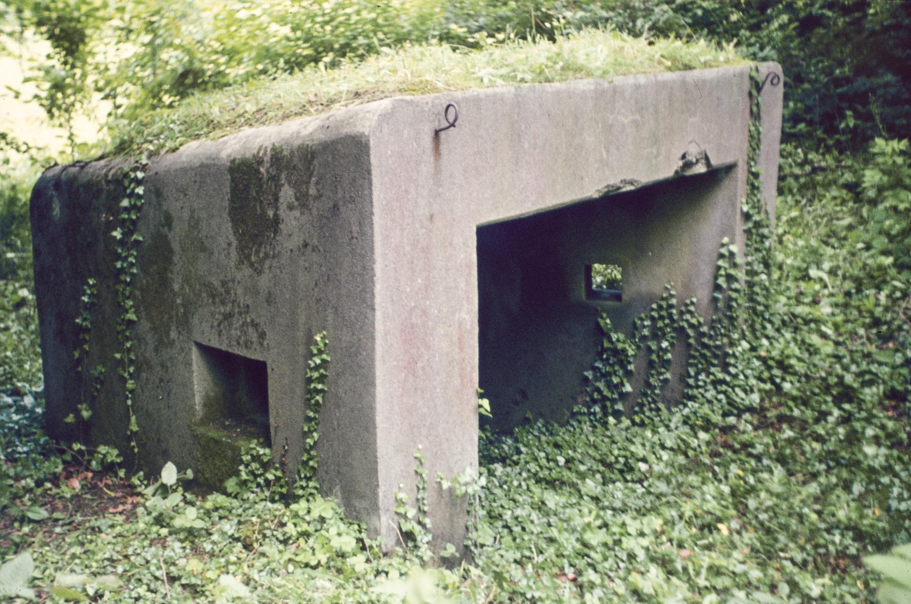 Ligne Maginot - ABO17 - BAMBESCH OUEST - (Blockhaus pour canon) -  - MANSUY Michel