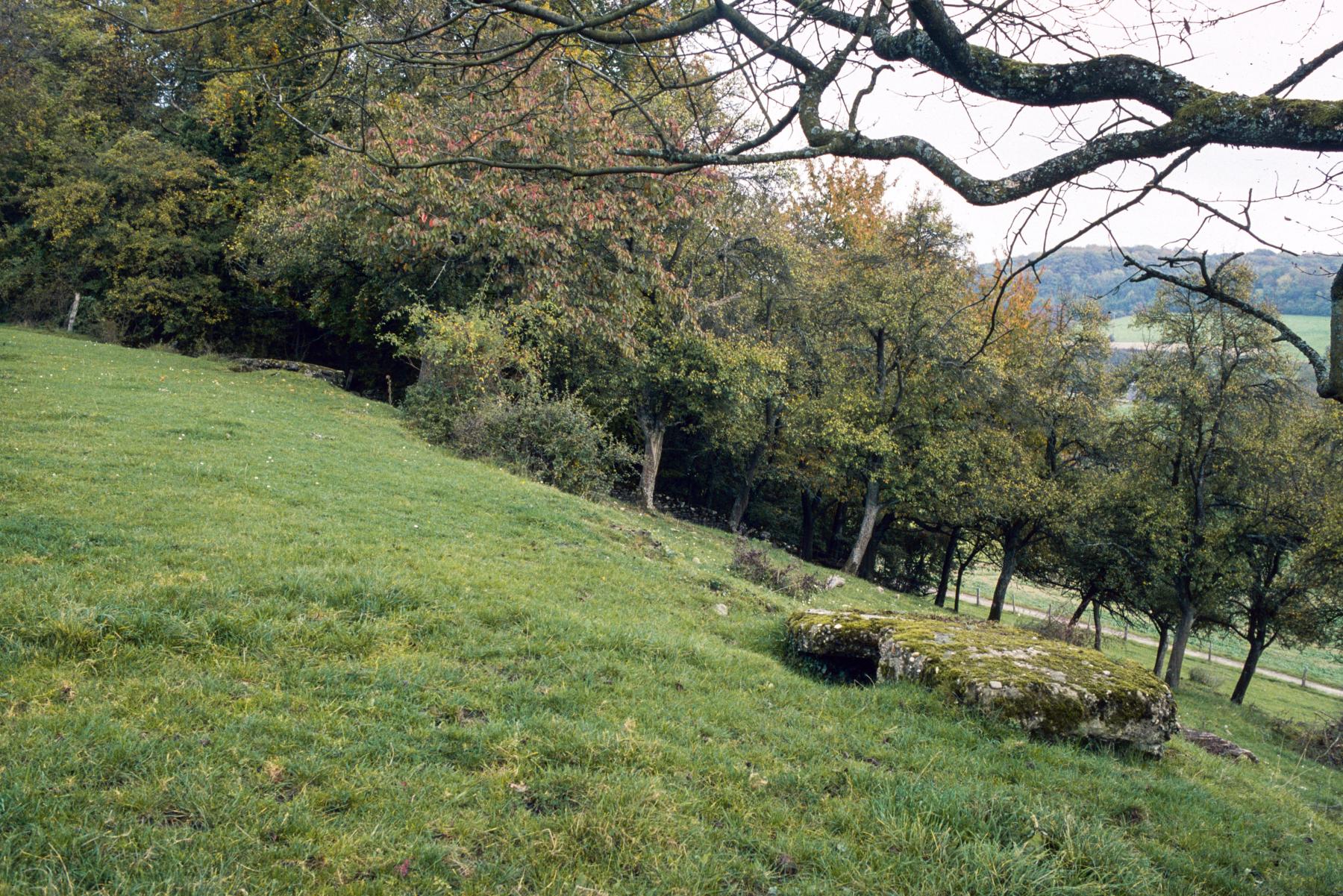 Ligne Maginot - PETERSHECKE 5 - (Observatoire d'infanterie) -  - MANSUY Michel