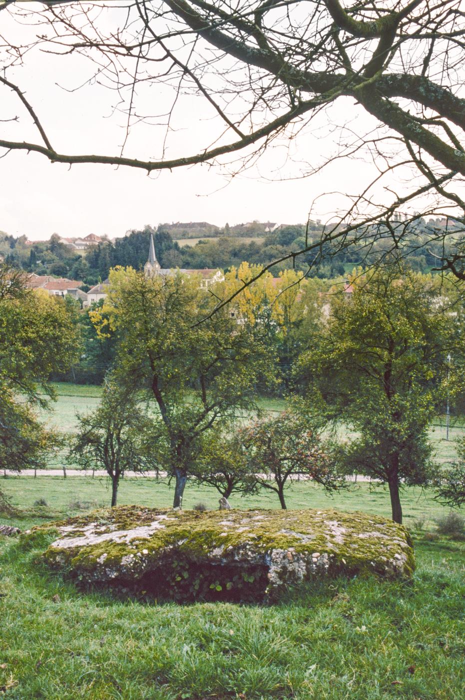 Ligne Maginot - PETERSHECKE 5 - (Observatoire d'infanterie) -  - MANSUY Michel