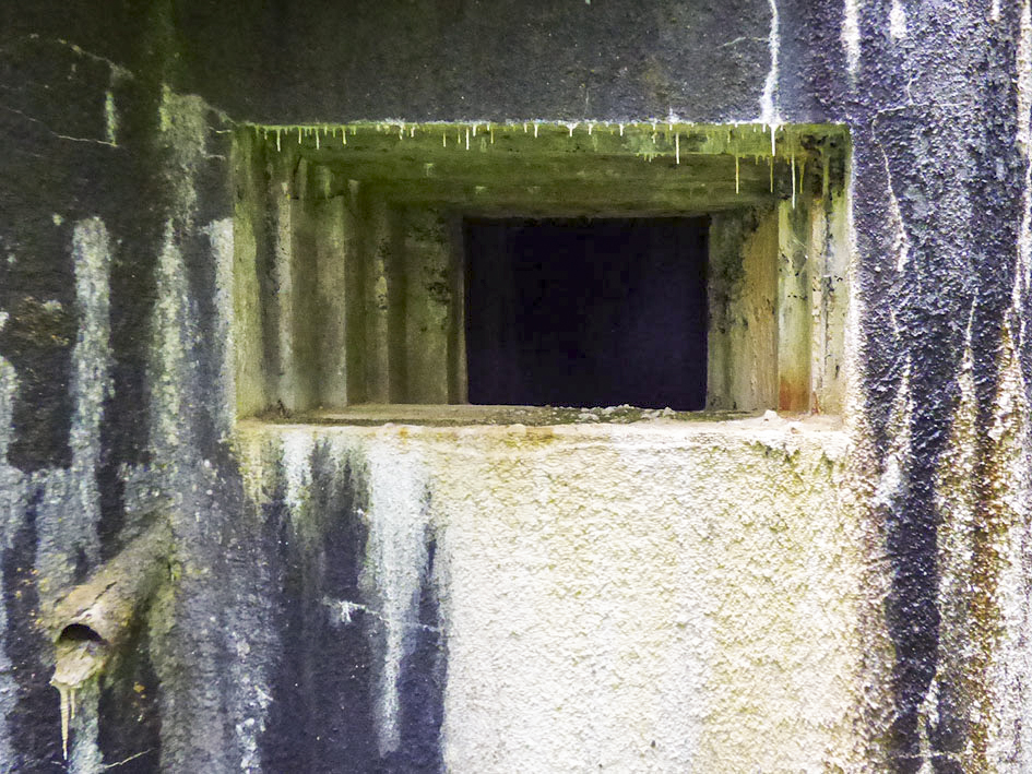 Ligne Maginot - A38 - GRAND MARAIS OUEST - (Casemate d'infanterie) - 
