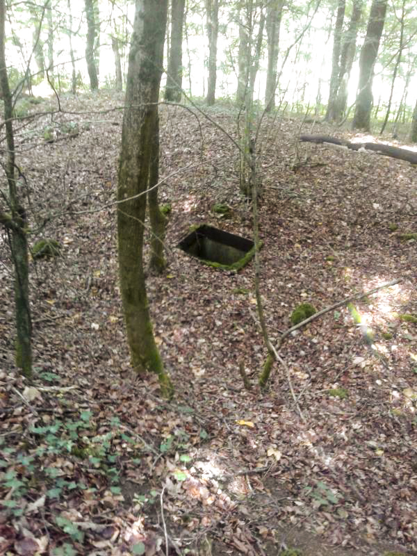 Ligne Maginot - LA VIGNETTE - (Chambre de coupure) - Vue générale de la chambre de coupure depuis le haut du talus..
