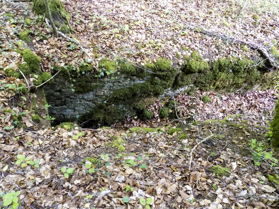Ligne Maginot - LA VIGNETTE (1°BON 136°RIF) - (PC de Quartier) - L'entrée est - R Tucker