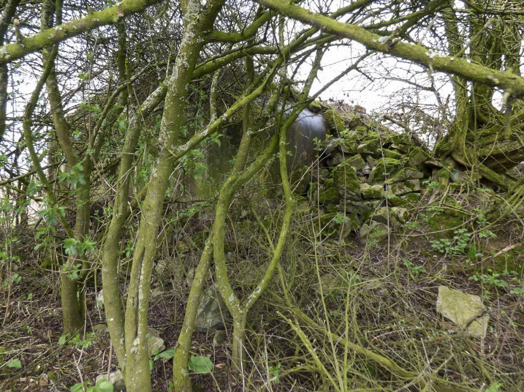 Ligne Maginot - B774 - LE ROND-BOIS - (Blockhaus pour canon) - 