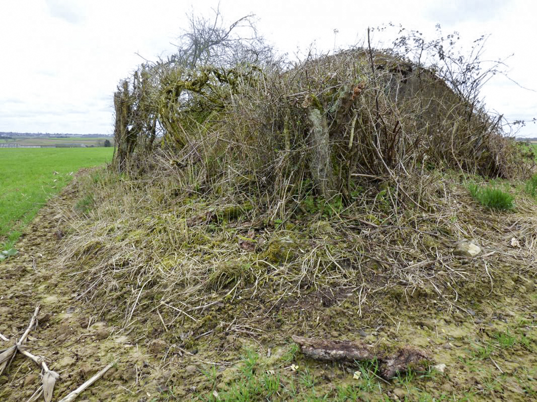 Ligne Maginot - B773 - MORENRIEUX - (Abri) - 